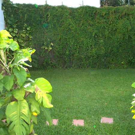 Beautiful Jungle House On A Strategic Location Villa Cancún Exterior foto