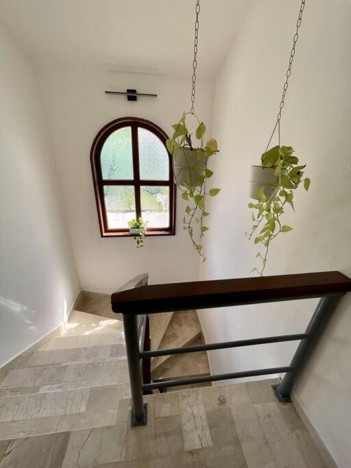 Beautiful Jungle House On A Strategic Location Villa Cancún Exterior foto