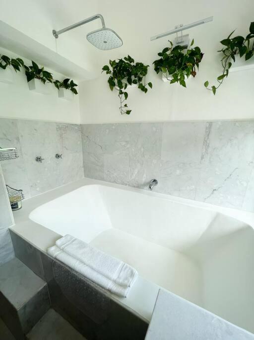 Beautiful Jungle House On A Strategic Location Villa Cancún Exterior foto